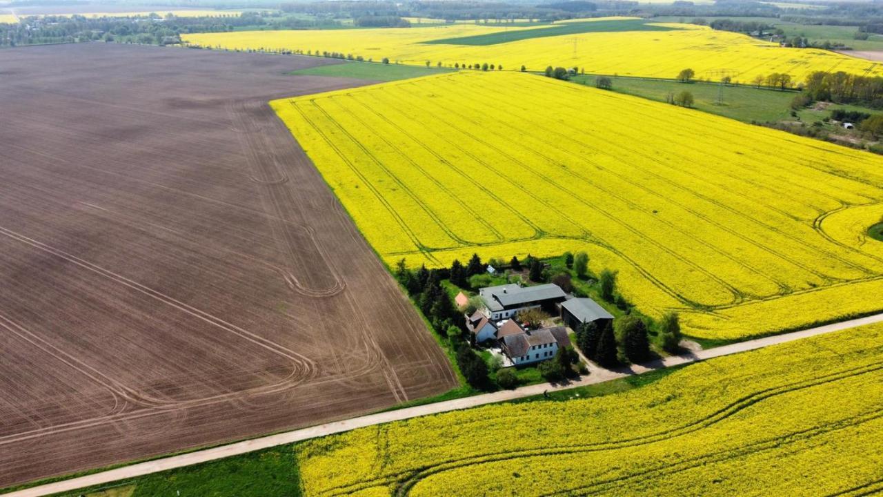 Ein Bett Im Kornfeld - Haus Morgensonne - Mit Innenpool Schonfeld  Exteriér fotografie