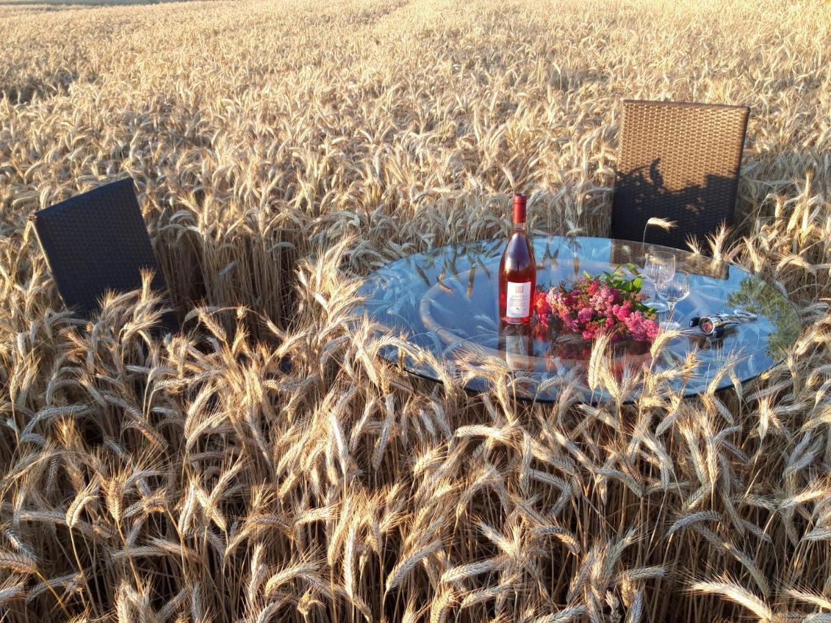 Ein Bett Im Kornfeld - Haus Morgensonne - Mit Innenpool Schonfeld  Exteriér fotografie